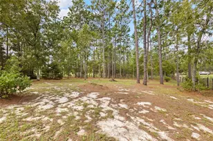 1411 SE State Road 121, Morriston, FL 32668 - Photo 39