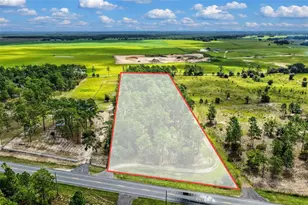 1411 SE State Road 121, Morriston, FL 32668 - Photo 49