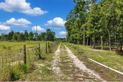 1411 SE State Road 121, Morriston, FL 32668 - Photo 3