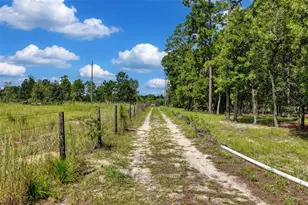 1411 SE State Road 121, Morriston, FL 32668 - Photo 3