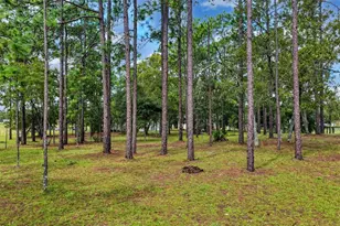 1411 SE State Road 121, Morriston, FL 32668 - Photo 37