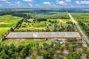 1411 SE State Road 121, Morriston, FL 32668 - Photo 51