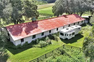 [Address not provided], Reddick, FL 32686 - Photo 23