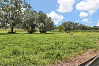 [Address not provided], Reddick, FL 32686 - Photo 9