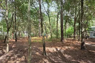 2089 S Sunwood Point, Homosassa, FL 34448 - Photo 21