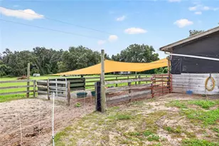 4256 SE 150th St, Summerfield, FL 34491 - Photo 39