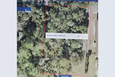 Lot 22 SW 130th Lane Road, Ocala, FL 34473 - Photo 1
