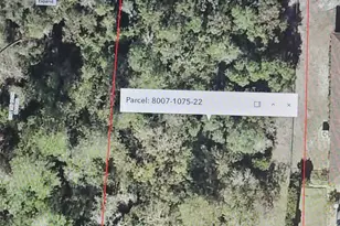 Lot 22 SW 130th Ln Rd, Ocala, FL 34473 - Photo 1
