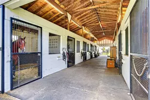 15939 NW 162nd Terrace, Williston, FL 32696 - Photo 53