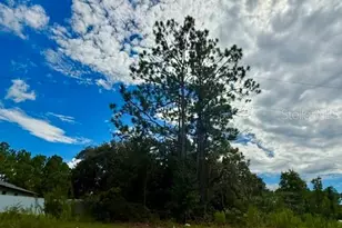 Lot 03 SW 140th Pl Rd, Ocala, FL 34473 - Photo 1