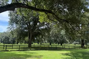 12550 SW 16 Ave, Ocala, FL 34473 - Photo 23