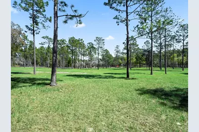 11370 SE 12th Lane, Morriston, FL 32668 - Photo 41