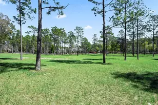 11370 SE 12 Ln, Morriston, FL 32668 - Photo 41