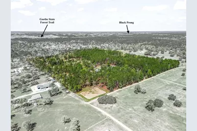 11370 SE 12th Lane, Morriston, FL 32668 - Photo 49