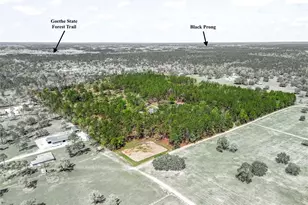 11370 SE 12 Ln, Morriston, FL 32668 - Photo 49