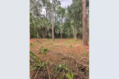 Marie Avenue, Deland, FL 32720 - Photo 3