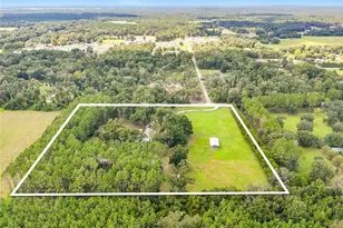 13851 NW 65th Ave, Chiefland, FL 32626 - Photo 61