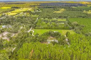 13851 NW 65th Ave, Chiefland, FL 32626 - Photo 57