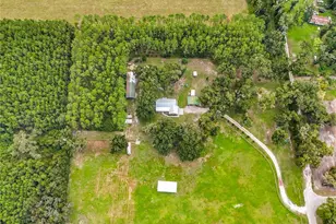 13851 NW 65th Ave, Chiefland, FL 32626 - Photo 55