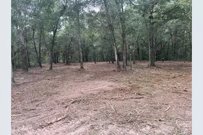 2 SW 150th Court, Ocala, FL 34481 - Photo 5
