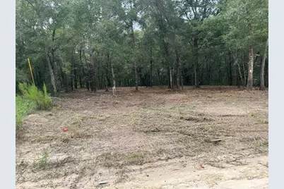 2 SW 150th Court, Ocala, FL 34481 - Photo 3