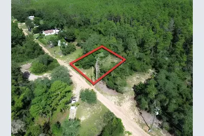 20525 SE 140th Street, Umatilla, FL 32784 - Photo 1