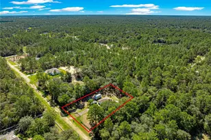 13238 SW 88th St, Dunnellon, FL 34432 - Photo 55