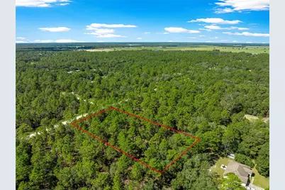 Tbd SW 89th Street, Dunnellon, FL 34432 - Photo 3