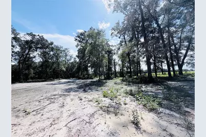 Sw 150th Street, Dunnellon, FL 34432 - Photo 5