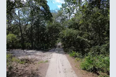 6870 NE 192nd Place, Citra, FL 32113 - Photo 3