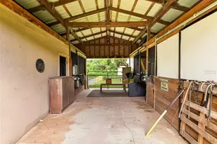 8699 SE 12th Ct, Ocala, FL 34480 - Photo 5