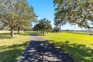 997 NW 63rd Ct, Ocala, FL 34482 - Photo 55