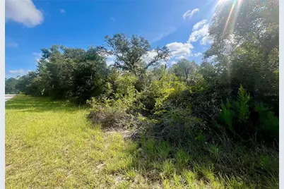 Tbd Fisher Road, Ocklawaha, FL 32179 - Photo 3