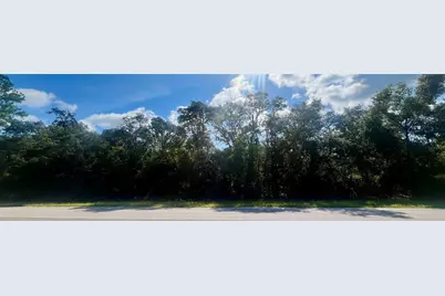 Tbd Fisher Road, Ocklawaha, FL 32179 - Photo 5