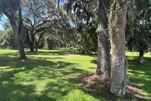 17310 SE 95th Street Rd, Ocklawaha, FL 32179 - Photo 7
