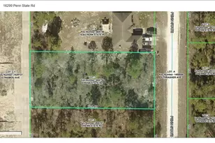 16299 Penn State Rd, Weeki Wachee, FL 34614 - Photo 3