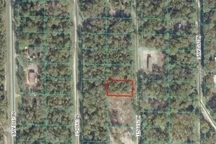 NE 111 Ct, Fort Mc Coy, FL 32134 - Photo 1
