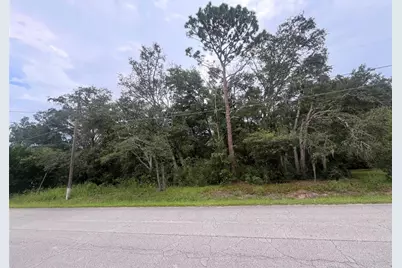 Tbd SE 94th Avenue, Belleview, FL 34420 - Photo 1
