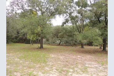 7651 NE 128th Lane, Bronson, FL 32621 - Photo 13