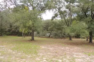 7651 NE 128 Ln, Bronson, FL 32621 - Photo 13
