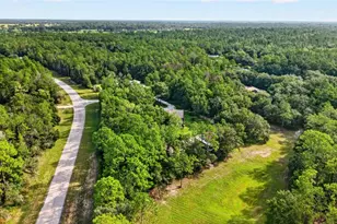 21675 SW 84th Loop, Dunnellon, FL 34431 - Photo 89