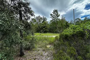 0000 NE 149th Ct, Williston, FL 32696 - Photo 1