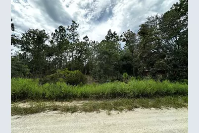 0000 NE 149th Court, Williston, FL 32696 - Photo 3