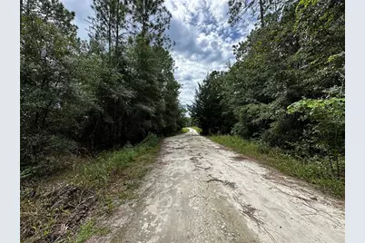 0000 NE 155th Court, Williston, FL 32696 - Photo 3