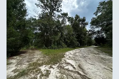 0000 NE 155th Court, Williston, FL 32696 - Photo 9
