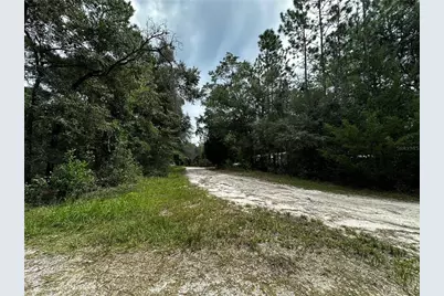 0000 NE 155th Court, Williston, FL 32696 - Photo 7