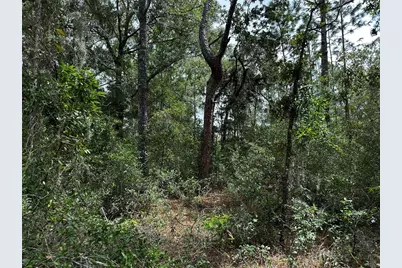0000 NE 155th Court, Williston, FL 32696 - Photo 7