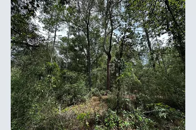 0000 NE 155th Court, Williston, FL 32696 - Photo 11