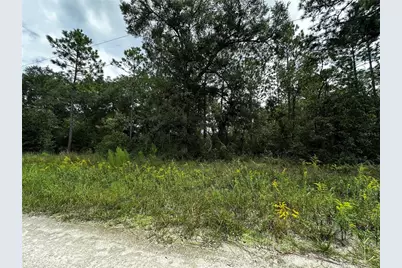 0000 NE 155th Court, Williston, FL 32696 - Photo 5