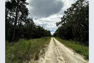 0000 NE 155th Court, Williston, FL 32696 - Photo 13